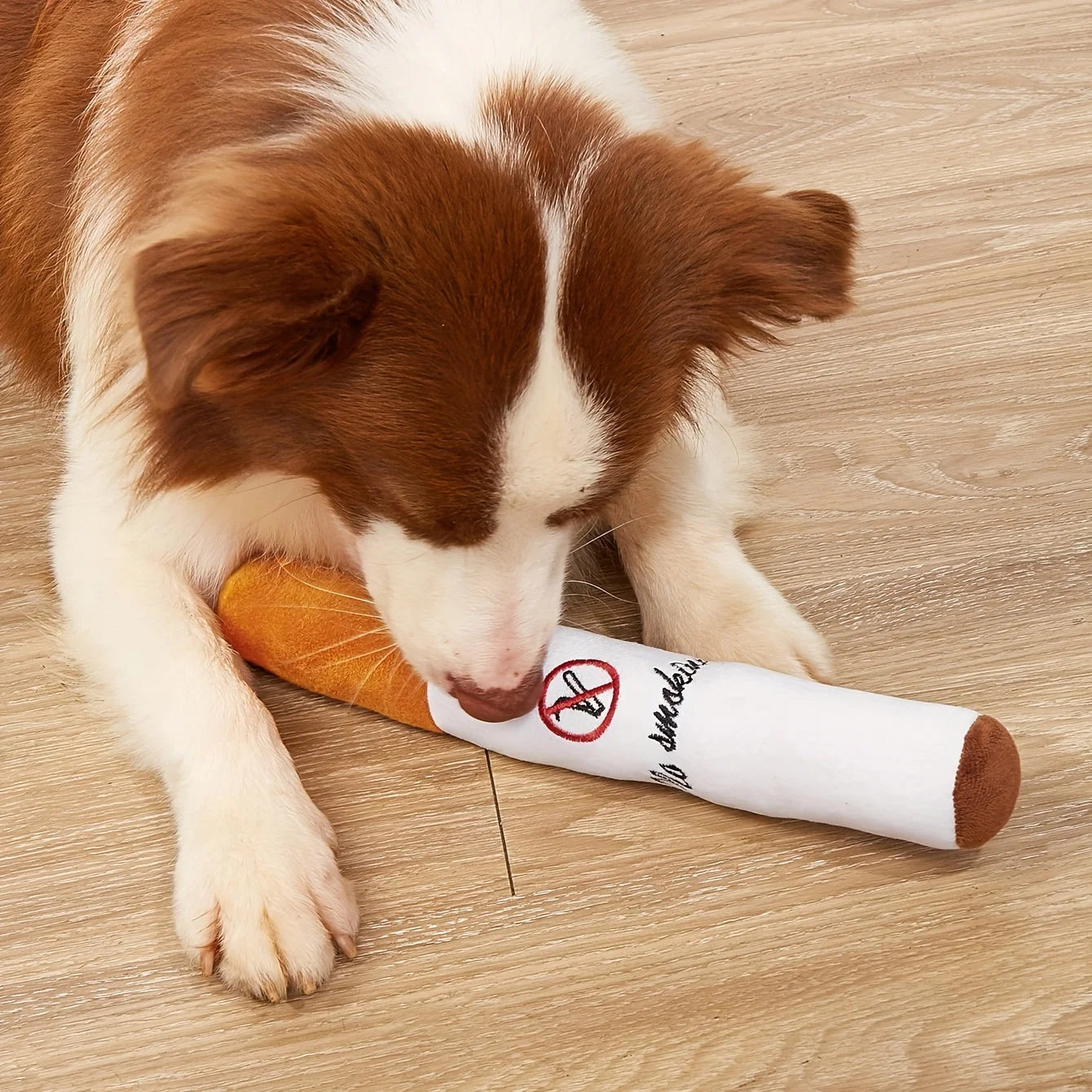 Cigarrette “No Smoking” Dog Toy