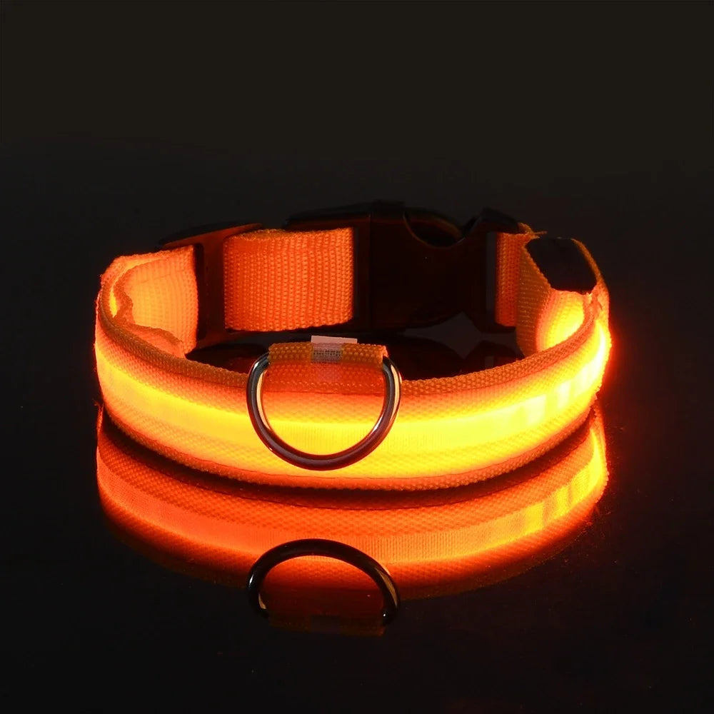 LED Nylon Dog Collar – Glow in the Dark, Night Safety Flashing