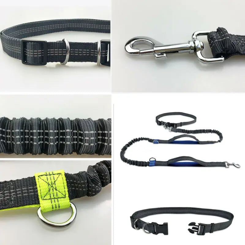 FlexRun Hands-Free Dog Leash