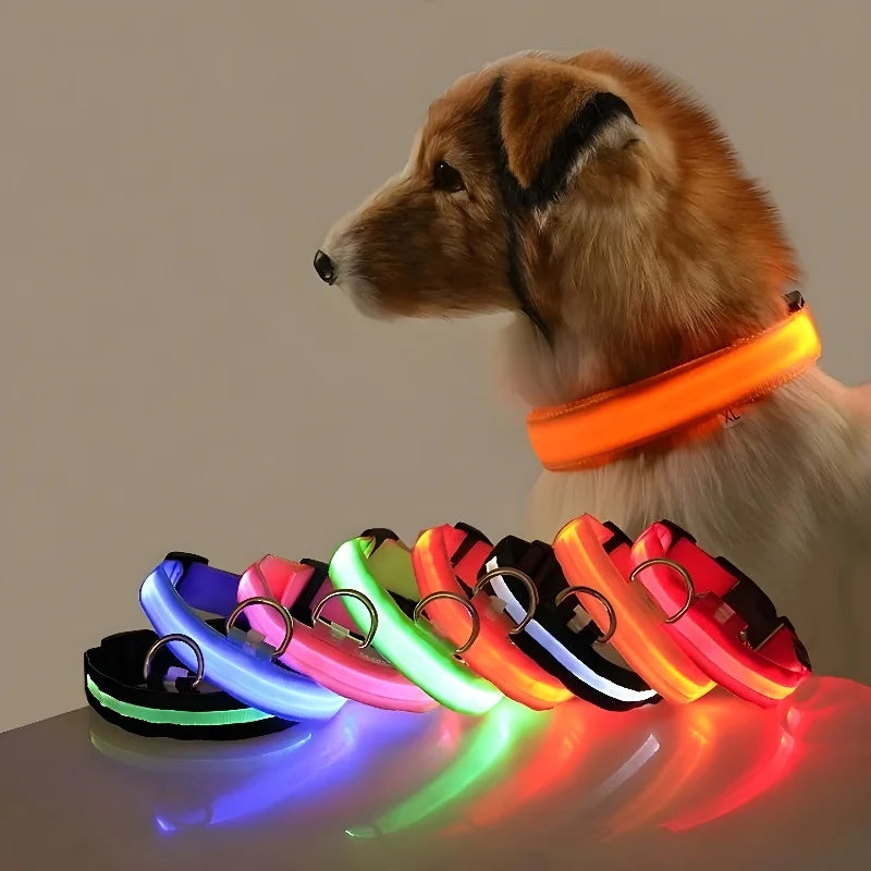 LED Nylon Dog Collar – Glow in the Dark, Night Safety Flashing