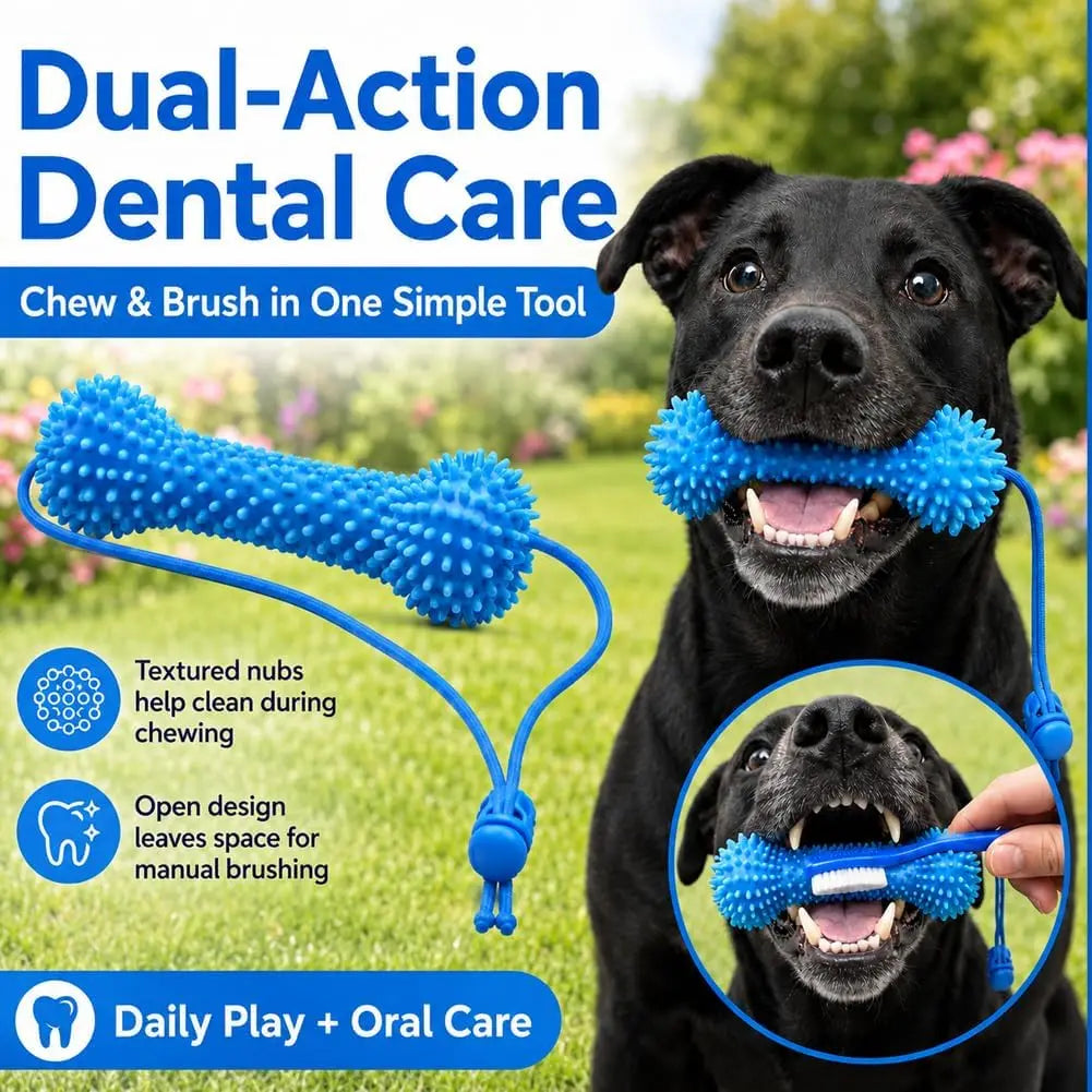 Dog Dental Chew Toy – Dual-Action Teeth Cleaning, Reusable Dog Toothbrush Toy