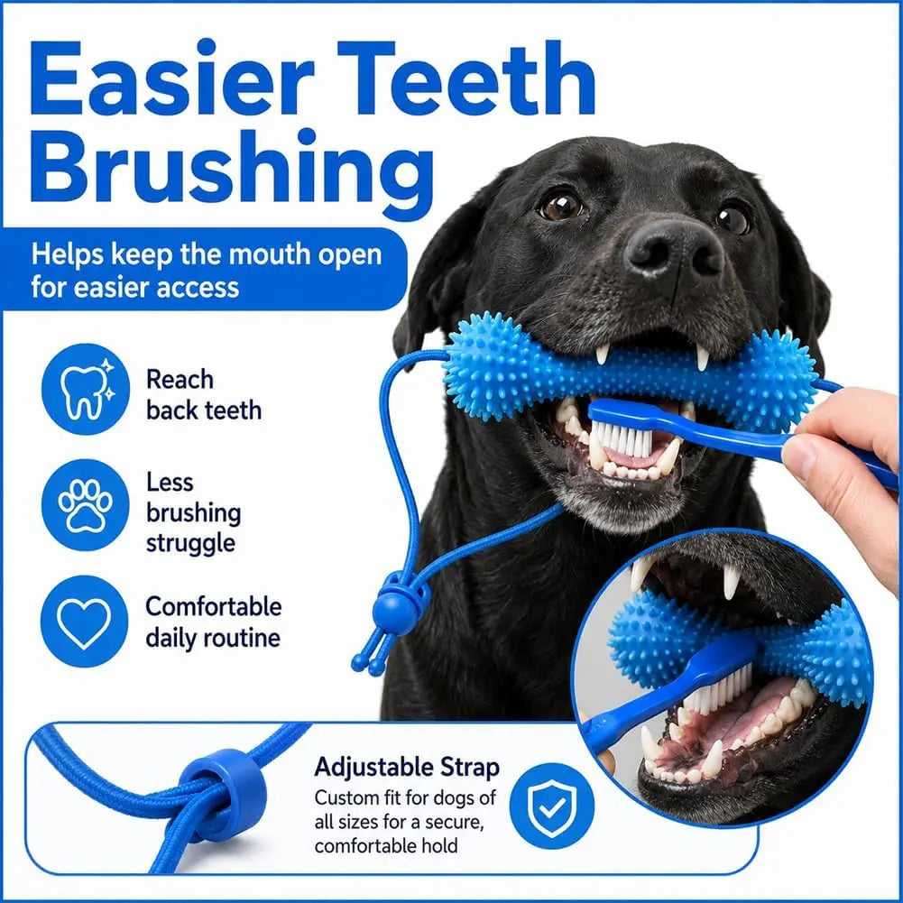 Dog Dental Chew Toy – Dual-Action Teeth Cleaning, Reusable Dog Toothbrush Toy