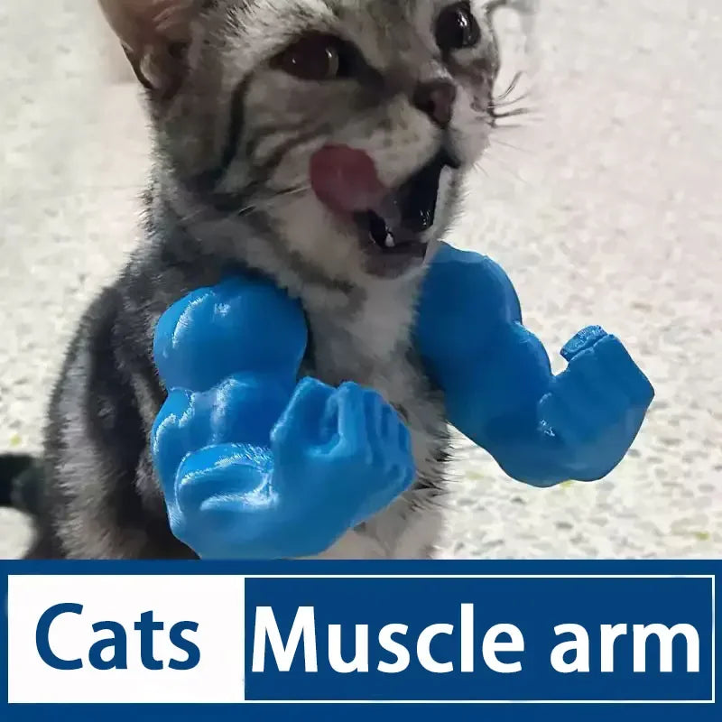 Gym Cat Charm