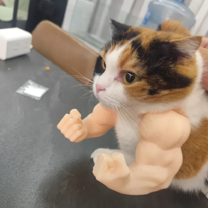 Gym Cat Charm