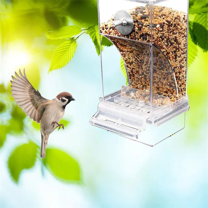 Acrylic No-Mess Automatic Bird Feeder & Drinker – Perch Container For Parrots, Budgerigars & Parakeets, Bird Cage Accessories