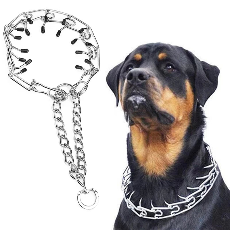 PawCommand Dog Training Chain