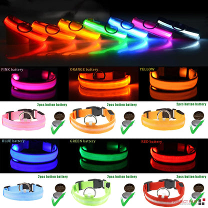 GlowSafe LED Dog Collar