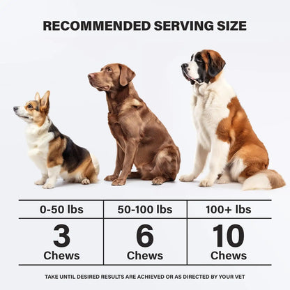 Easy Breezy: Chicken Calming Chews for Dogs 90