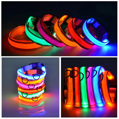 GlowSafe LED Dog Collar