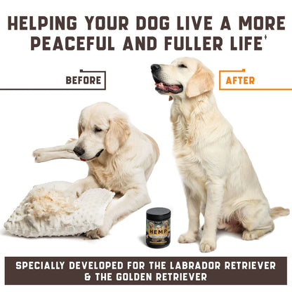 CalmSchnoz™ Soothing Chews for Labradors - Valerian Root & Hemp Oil Formula