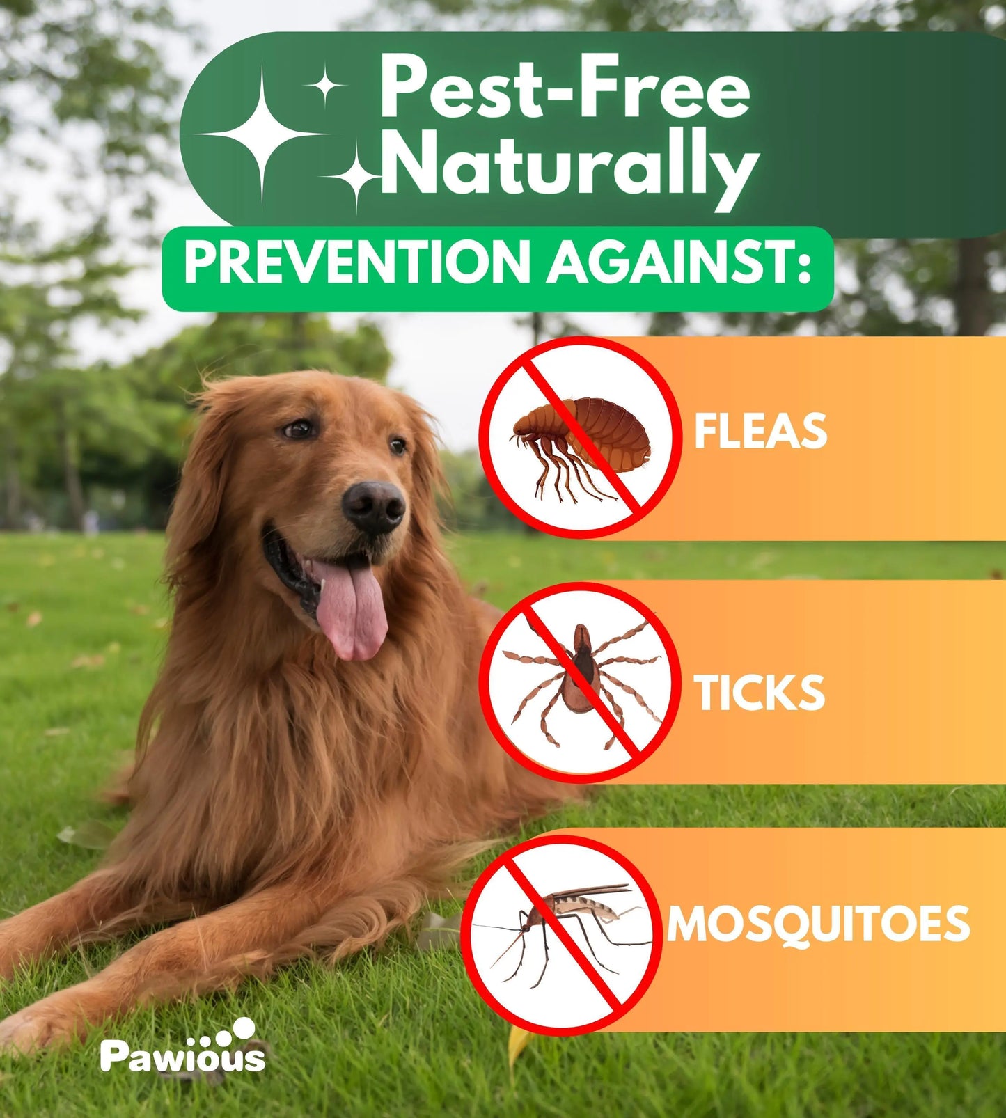 Natural Dog Chewables for Parasite Prevention