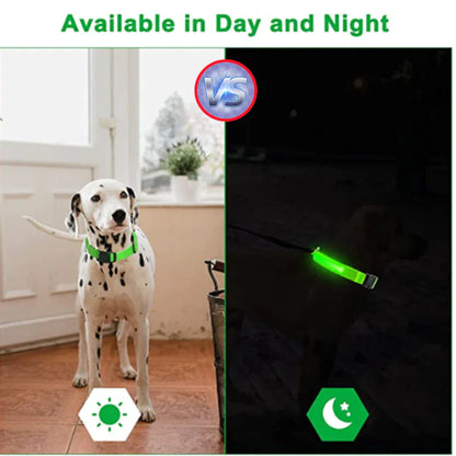 GlowSafe LED Dog Collar