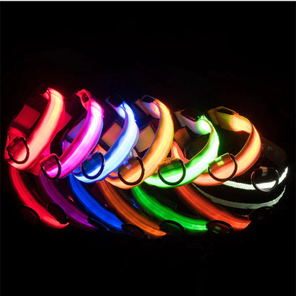 GlowSafe LED Dog Collar