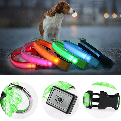 GlowSafe LED Dog Collar