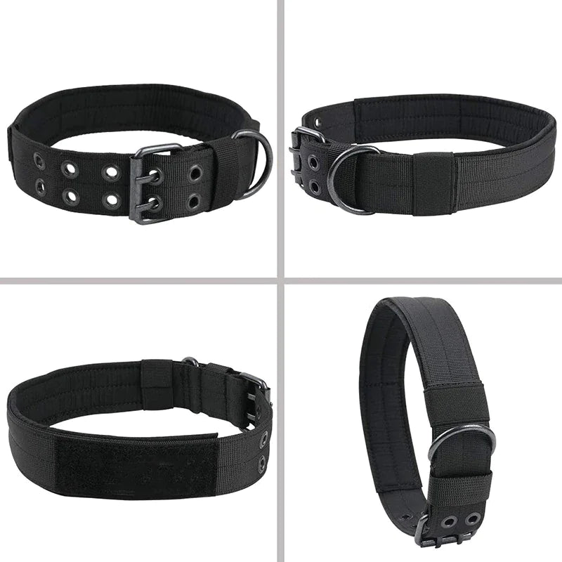 Combat Dog Collar