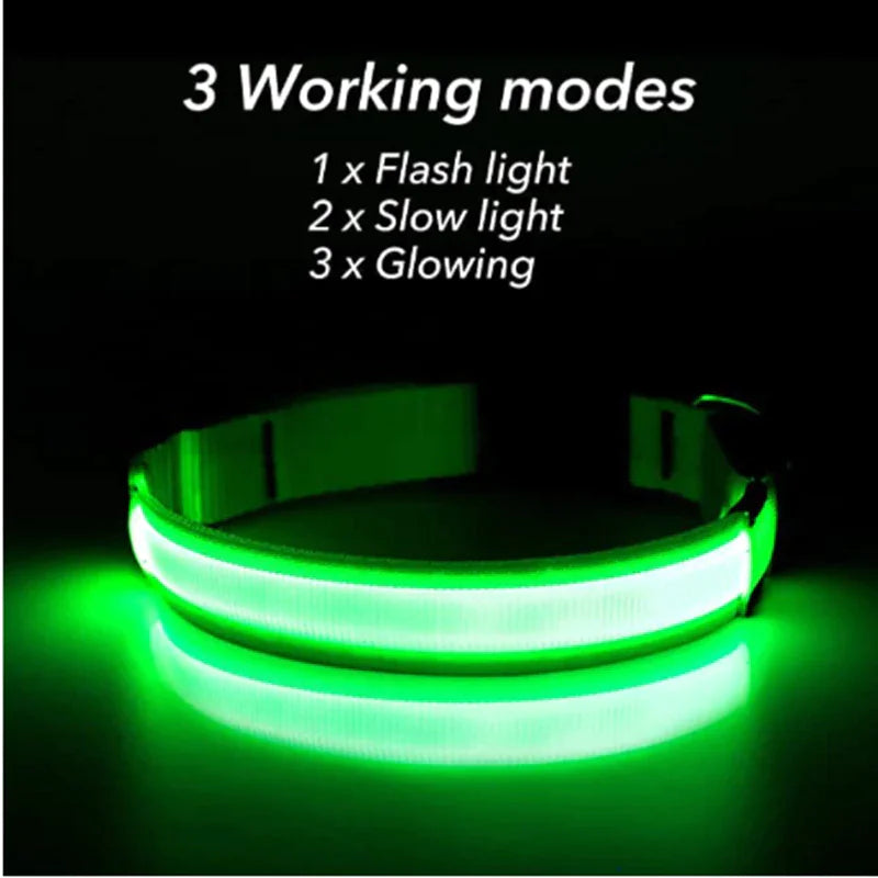 GlowSafe LED Dog Collar