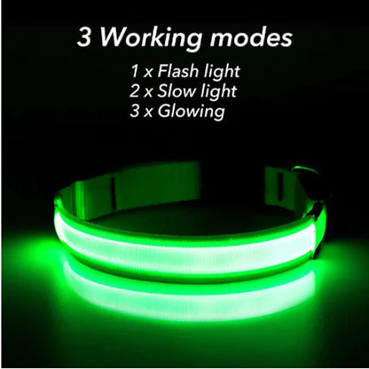 GlowSafe LED Dog Collar