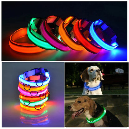 GlowSafe LED Dog Collar