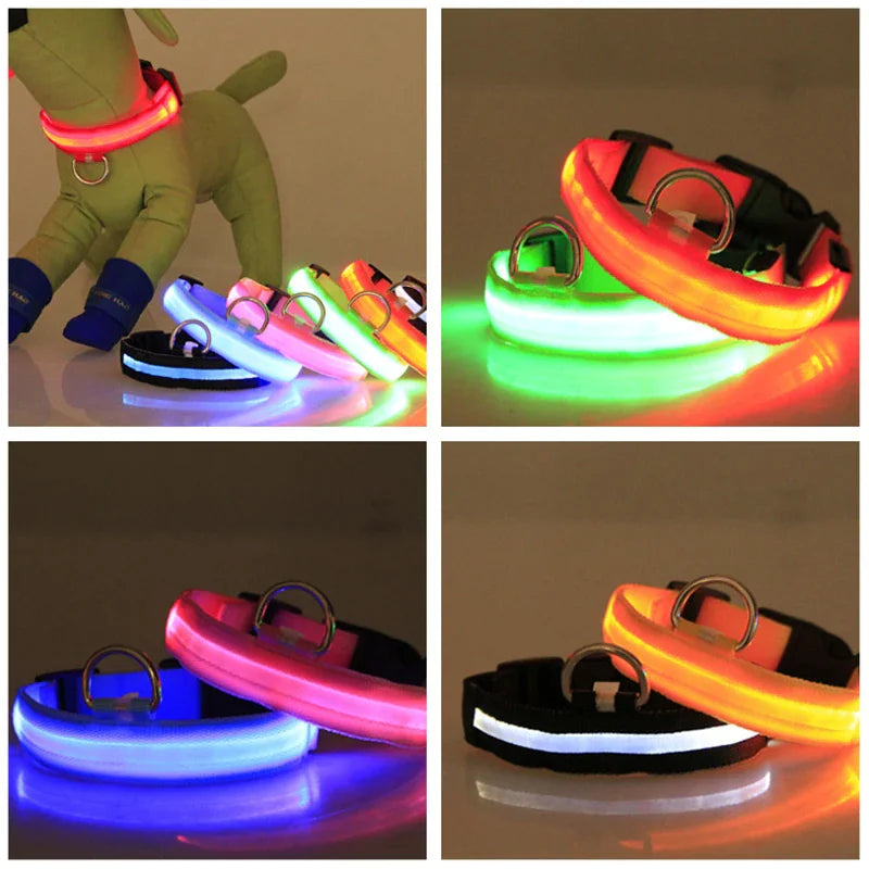 GlowSafe LED Dog Collar