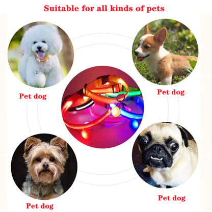 GlowSafe LED Dog Collar