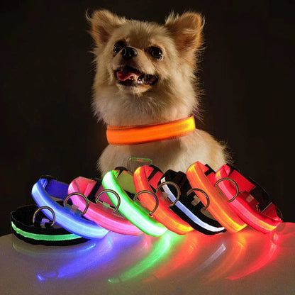 GlowSafe LED Dog Collar