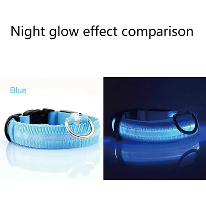 GlowSafe LED Dog Collar