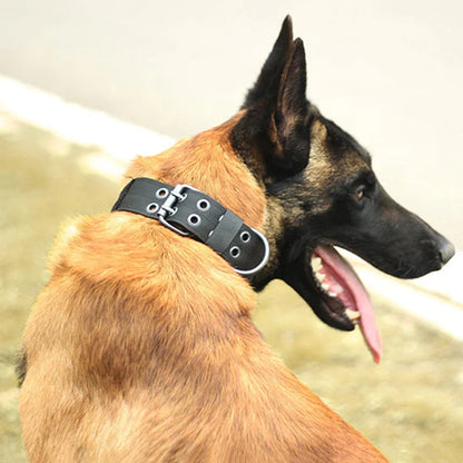 Combat Dog Collar